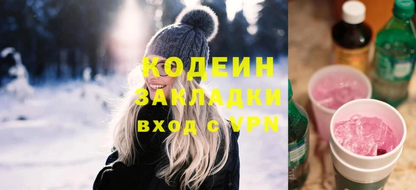 шишки Заволжск