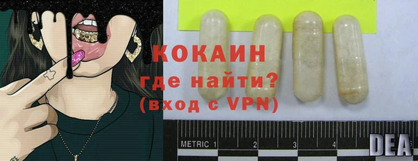шишки Заволжск