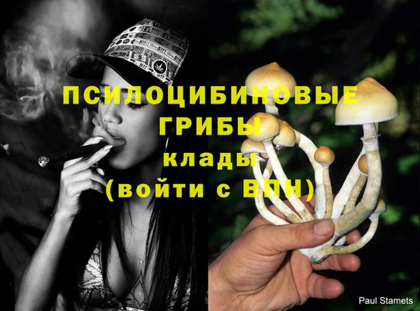кокаин перу Елизово
