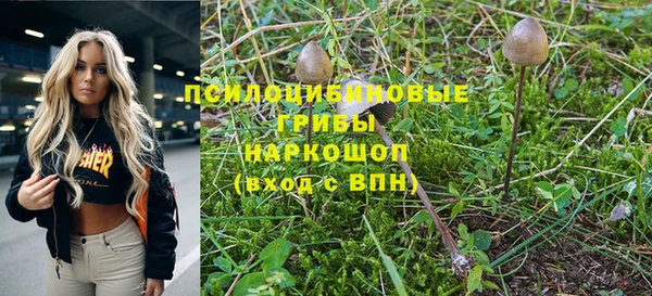 шишки Заволжск