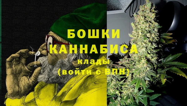 шишки Заволжск