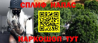 сатива Краснокаменск