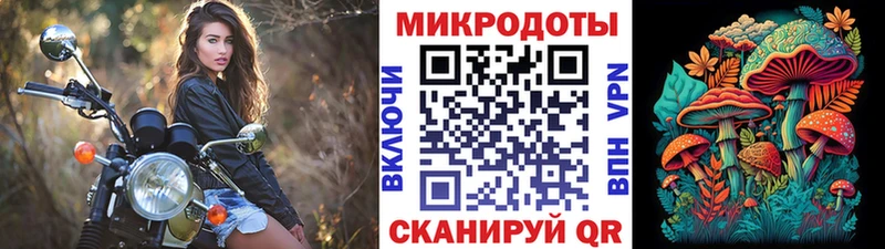 хочу   Каменск-Шахтинский  Псилоцибиновые грибы Psilocybe 