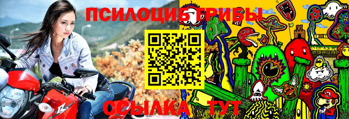 как найти   Псилоцибиновые грибы Magic Shrooms  Вход с VPN  Каменск-Шахтинский 