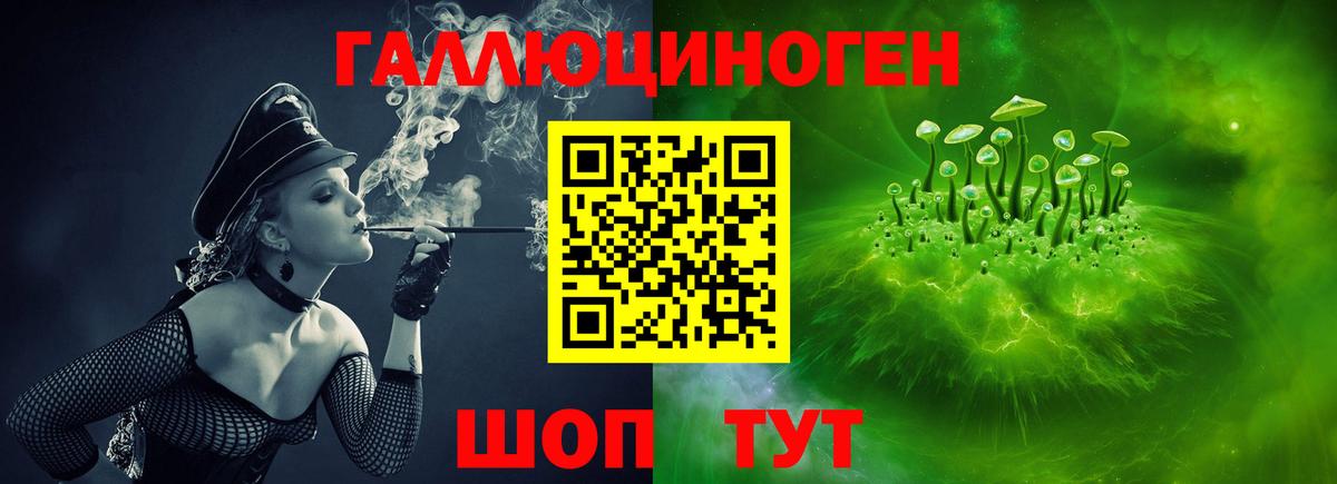 Псилоцибиновые грибы мицелий Каменск-Шахтинский